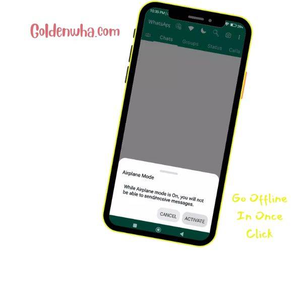 offline feature in whatsapp gold