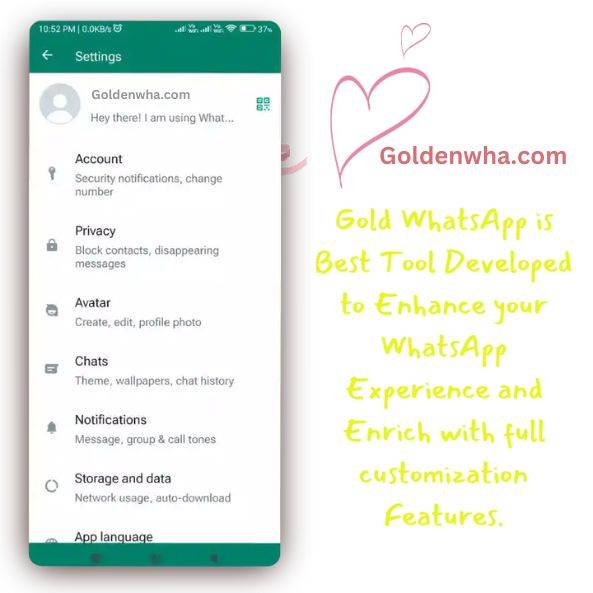 About whatsApp gold plus